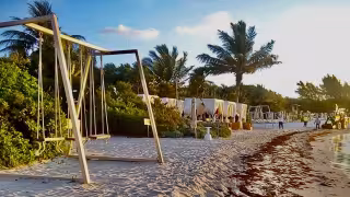 Activistas ambientales denunciaron presuntos daños a manglares y ocupación de zona federal en Playa del Carmen por parte de un hotel en la zona costera