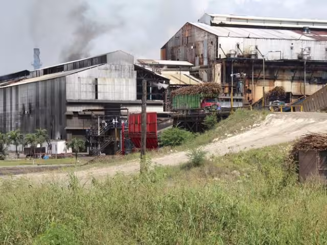 Algunos ingenios ya habían sido liberados días antes, por lo que se esperaba la liberación del Ingenio San Rafael de Pucté.