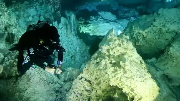 En todos los cenotes de la lista se pueden explorar sus profundidades por medio del buceo En todos los cenotes de la lista se pueden explorar sus profundidades por medio del buceo