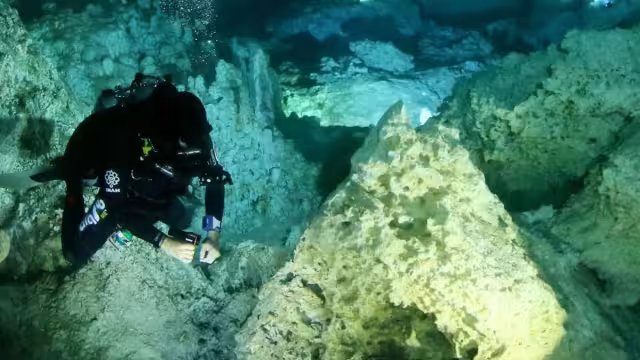 En todos los cenotes de la lista se pueden explorar sus profundidades por medio del buceo