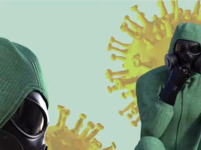 El hongo es tóxico y es considerado un arma potencial de 'agroterrorismo'.