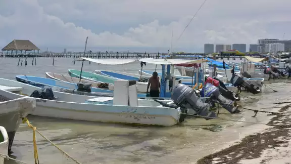 Pescadores de Puerto Juárez lidian con la temporada baja de pesca