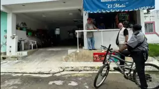 Reportan envenenamiento de perros en Campeche 