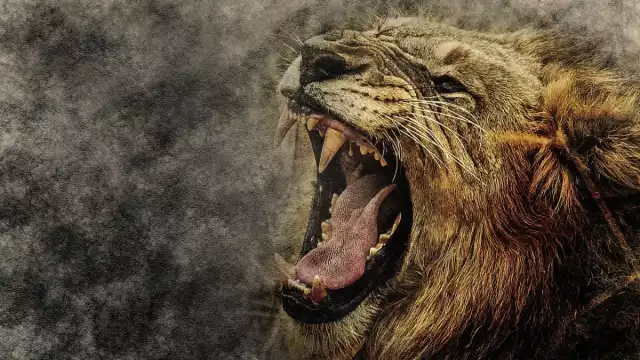 Tal como el rugido de un león, debes tener cautela con estos signos