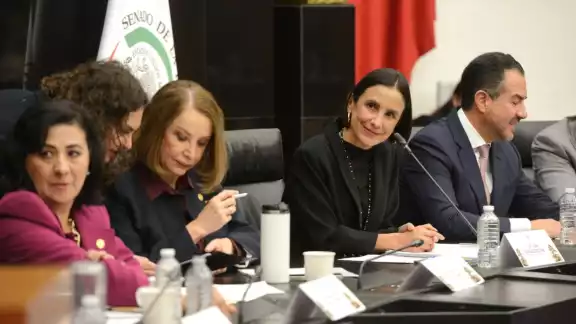 Luz Elena González detalló que el nuevo modelo energético contempla la generación del 35% de energía limpia para 2030