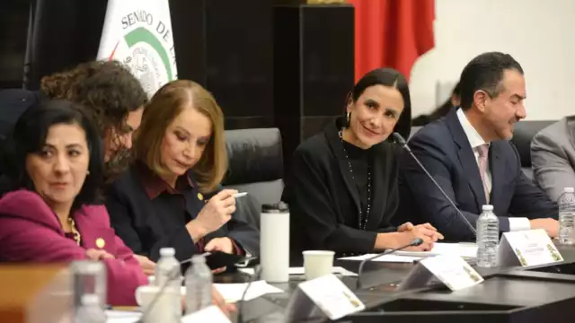 Luz Elena González detalló que el nuevo modelo energético contempla la generación del 35% de energía limpia para 2030
