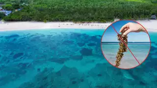 Aguas cristalinas y libres de macroalga: Conoce las dos islas a menos de tres horas de Cancún con playas sin sargazo