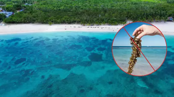 El transporte para poder acceder a las famosas islas son los ferrys El transporte para poder acceder a las famosas islas son los ferrys