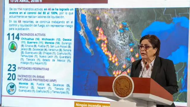 Laura Velázquez Alzúa, coordinadora nacional de Protección Civil