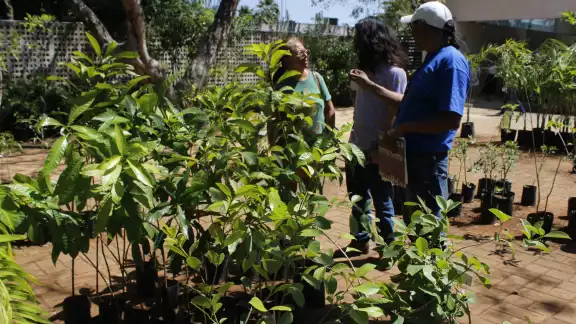 Señalan la urgencia de crear estrategias de aprendizaje en las escuelas de las comunidades indígenas
