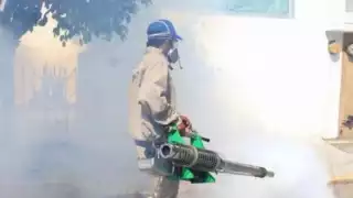 Dengue en México: Más de 28 mil casos y 76 muertes registradas en 2024