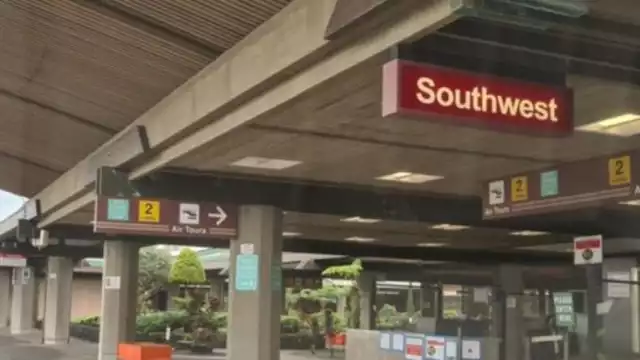 Un pasajero japones que llegó al aeropuerto de hilo en Hawai, transportaba dos granadas en su equipaje de mano