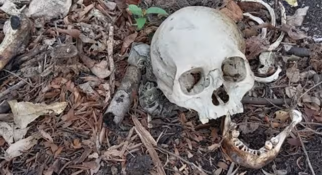 Osamenta descubierta por los dueños de un predio en Escárcega