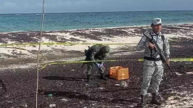 Elementos del Ejército realizaron el hallazgo en Cozumel