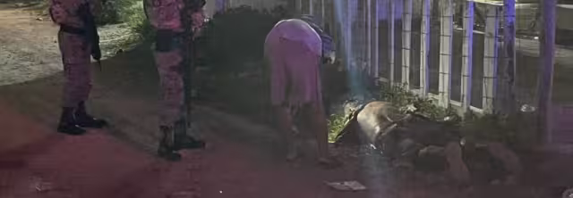 El hombre fue auxiliado por agentes de seguridad y paramédicos en Cancún