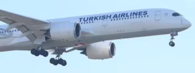 A pesar de los esfuerzos por reanimarlo el piloto de la aerolínea Turkish Airlines falleció en pleno vuelo