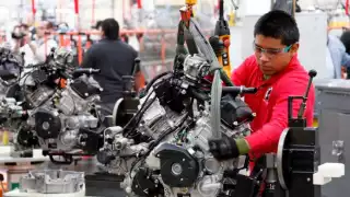 Aumenta personal ocupado en la industria manufacturera IMMEX en Julio 2024: Inegi