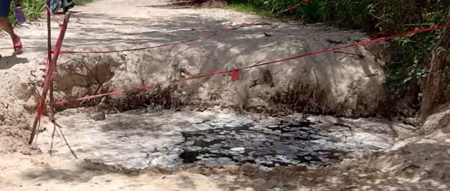 Así lucen los hoyancos en Playa del Carmen