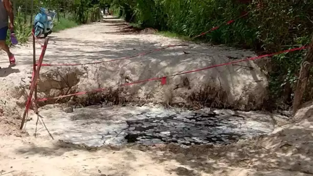 Así lucen los hoyancos en Playa del Carmen