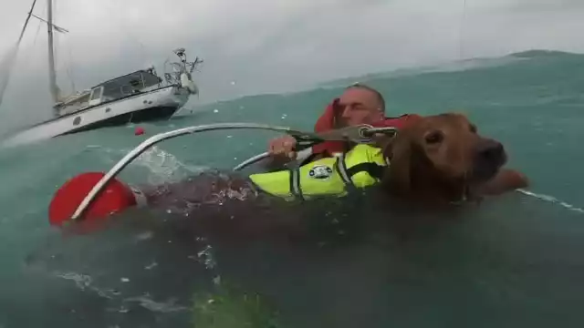 Elementos costeros realizaron la operación de rescate de un hombre y un perro atrapados en medio del huracán Helene.
