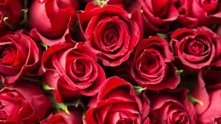 Estos son los ramos que están de moda para regalar este 14 de febrero