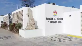 Internautas dieron a conocer los hechos en las redes sociales, por lo que personal acudió a los domicilios de los infractores