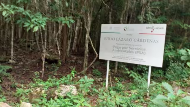 Individuo fue detenido por presunta intención de caza furtiva en reserva Balaam K'aax.