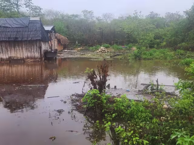 La zona también es afectada por escurrimientos de las partes altas de Quintana Roo