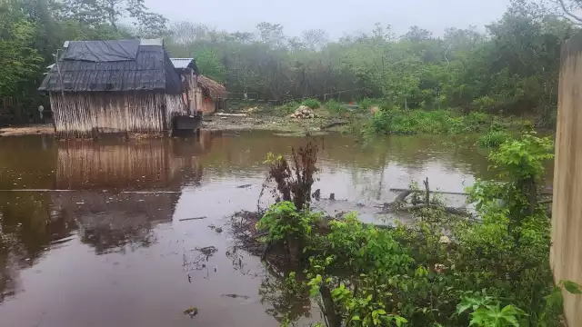 La zona también es afectada por escurrimientos de las partes altas de Quintana Roo