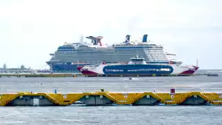 Cobro de impuesto a cruceristas de Cozumel: Establecen la fecha para el 1 de enero