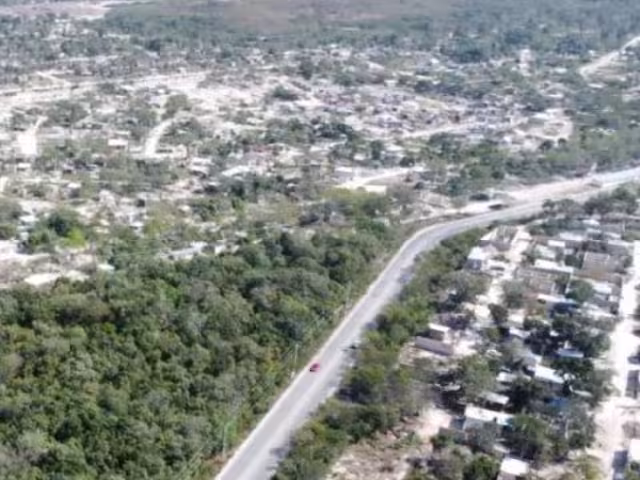 La vegetación de la ciudad ha sido devastada para la creación de nuevos desarrollos habitacionales