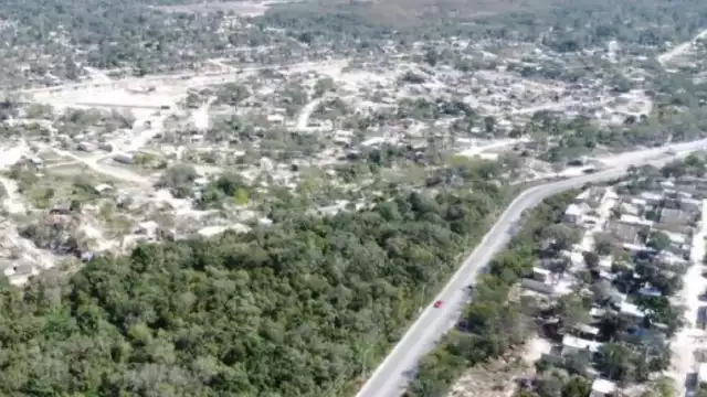 La vegetación de la ciudad ha sido devastada para la creación de nuevos desarrollos habitacionales