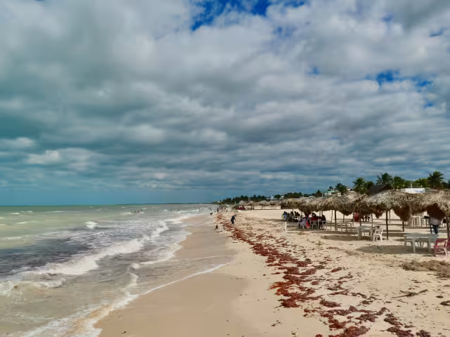 Las actividades turísticas no serán suspendidas a pesar de la presencia de marea roja
