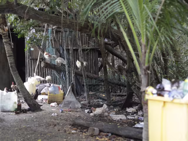 Evidencian desatención en el manejo de residuos que causan lixiviados y llegan al agua