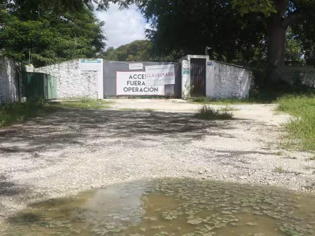 Clausuran granja porcina en Mérida tras denuncias por daños a la salud y el ambiente