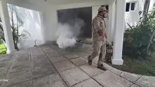 Habitantes de Lázaro Cárdenas exigen fumigación urgente ante brote de mosquitos