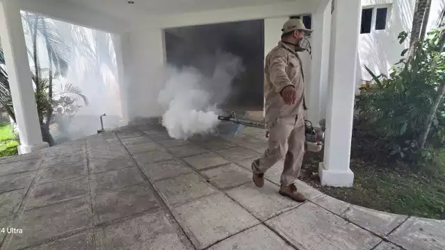 Vecinos de San Francisco, San Cosme y San Juan de Dios aseguran que peligra su salud y economía en caso de enfermar.