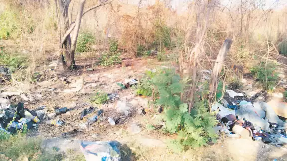 Vecinos de La Lupita no pueden respirar por basura clandestina Vecinos de La Lupita no pueden respirar por basura clandestina