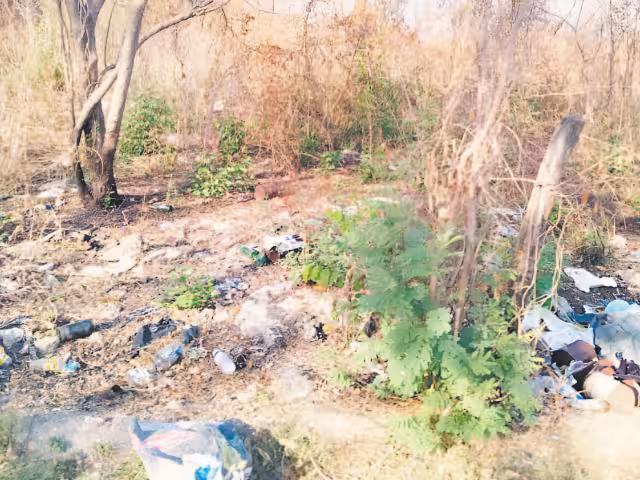 Vecinos de La Lupita no pueden respirar por basura clandestina