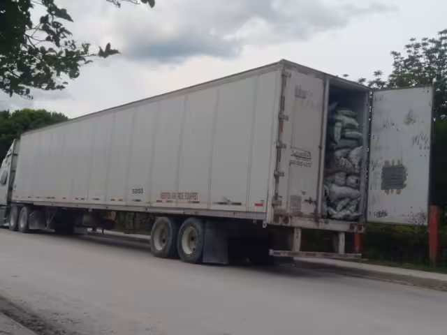 Tráiler transportaba más carbón vegetal del permitido
