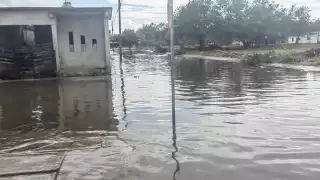 Reportan rebosamiento de aguas negras en Américas 3 de Chetumal