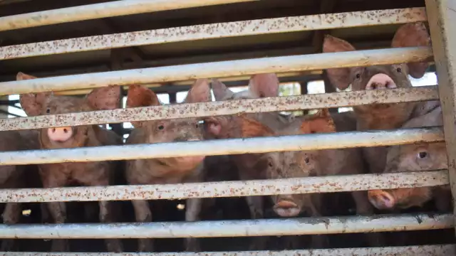 Muchos sistemas de tratamiento están obsoletos, dice la Semarnat