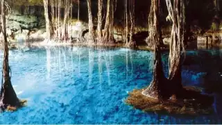 Cenotes de Campeche