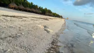 Asesinan a joven frente al hotel Xaloc de la isla de Holbox; autoridades guardan hermetismo  en torno al caso