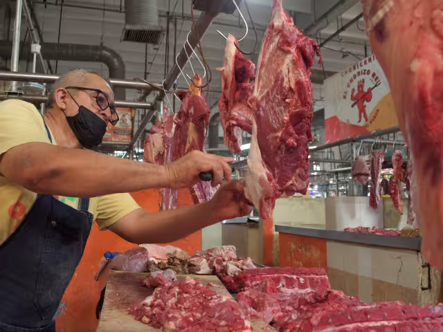 Comerciantes del mercado principal no creen que afecte la presencia de gusano barrenador en Candelaria