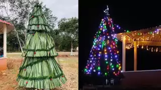 Habitantes de Xbilincoc, Hopelchén, elaboran árbol navideño con palma de guano 