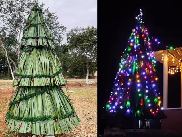 En Xbilincoc, la comunidad creó un árbol navideño ecológico con hojas de palma