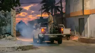 Operativo antimosquitos en Yucatán: estas colonias y localidades serán fumigadas esta semana  
