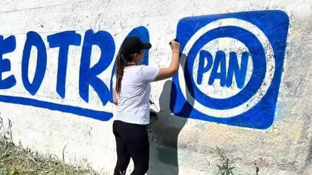 El partido busca una nueva estrategia o podría perder incluso el registro