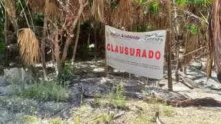 Clausuran tres predios de la Reserva de Sian Ka’an tras incendios  forestales